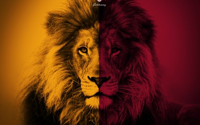 完美电竞独家-伊布建议瑞典队更新换代