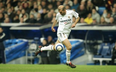 完美电竞动态-即将步入婚姻殿堂