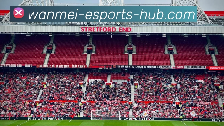 多媒体互动体验